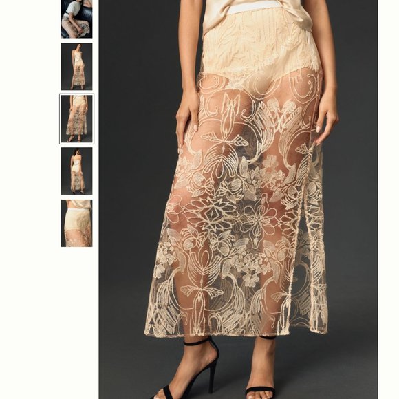 By Anthropologie Sheer Embroidered Skirt - Picture 2 of 5